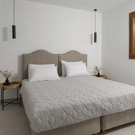 Aegean Vista * Naxos City