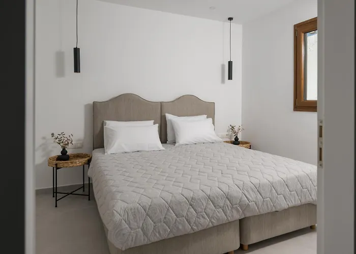 Aegean Vista * Naxos City